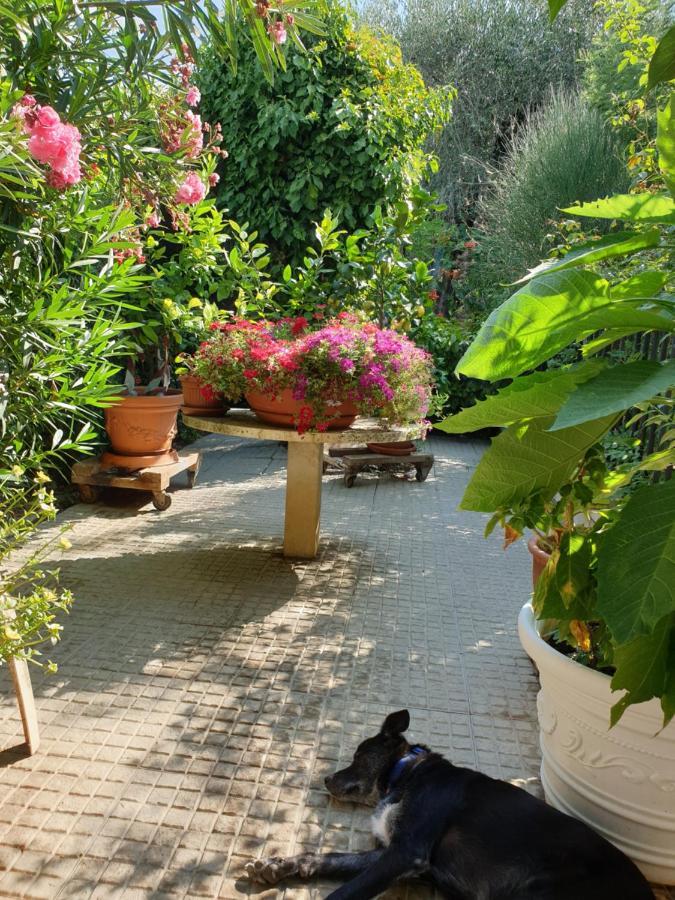 Appartement El Giardino Delle Rose..... à Serre Di Rapolano Extérieur photo
